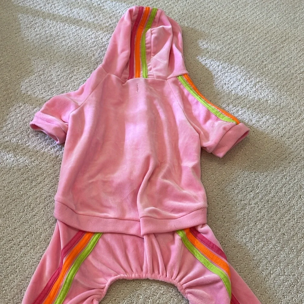 Female Dog outfit